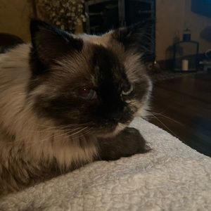 Meet your Posher, Jackie